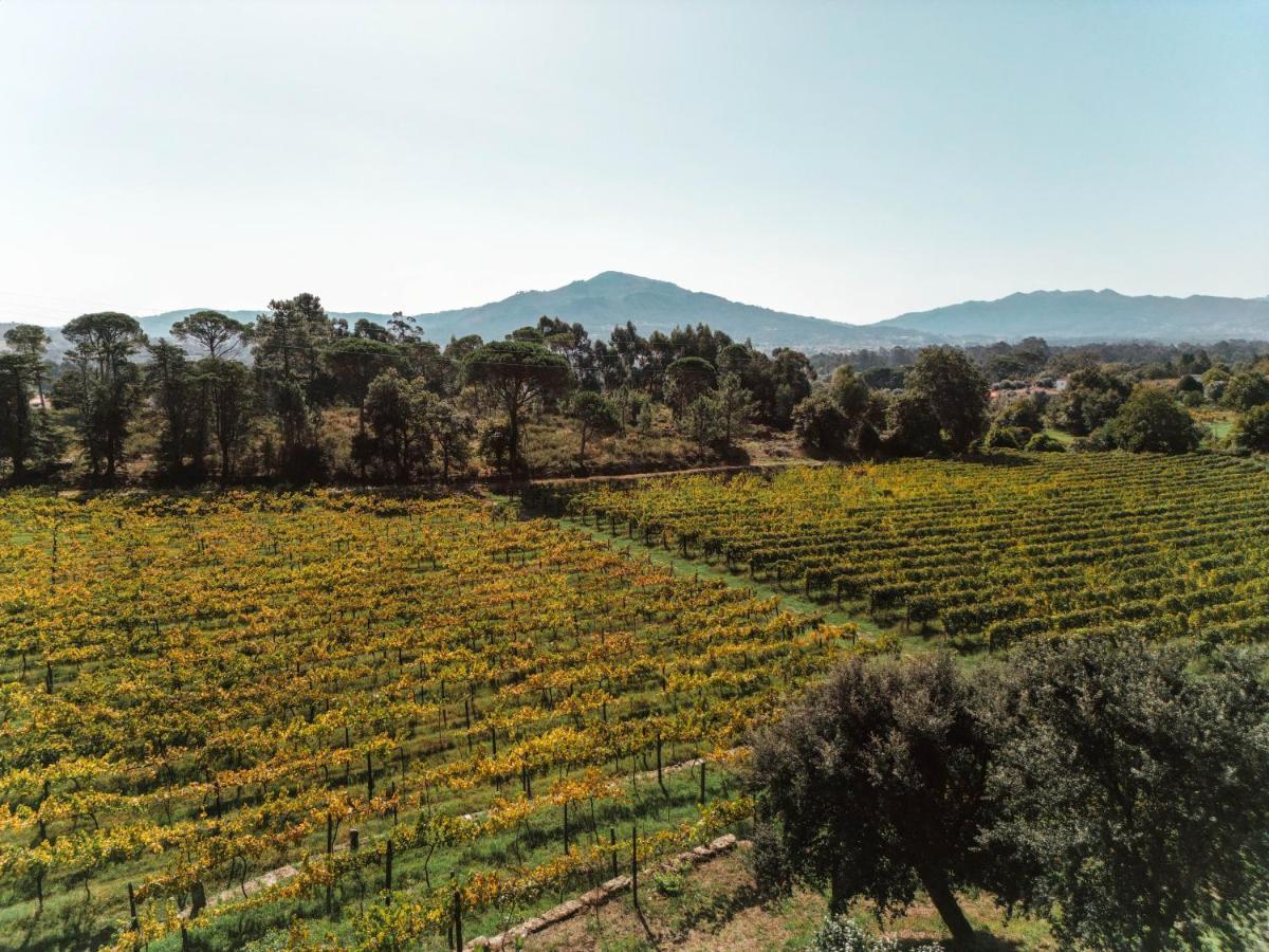 Quinta Do Convento De Val' Pereiras Panzió Ponte de Lima Kültér fotó